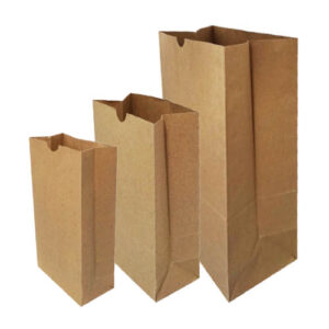 Kraft bags without handles