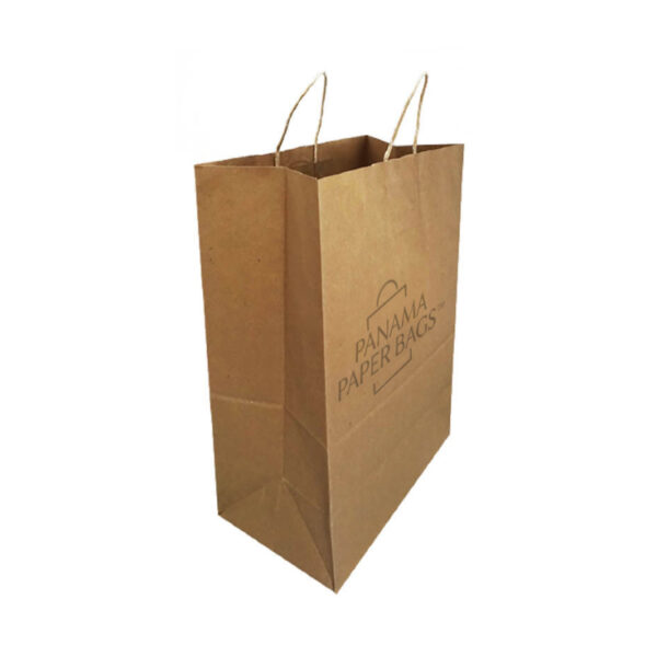 Custom printed paper bags (with handles)
